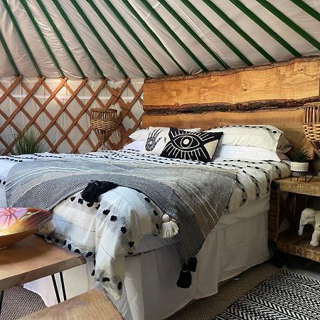 O Dan Y Coed Luxury Yurt With Hot Tub Chwilog Exterior foto